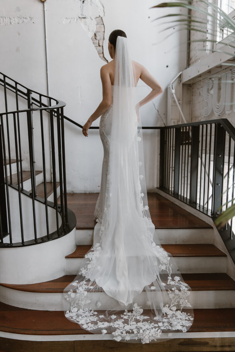 Kellylin-Classic-224